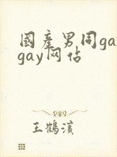 国产男同gaygay网站