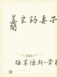 善良的妻子王晓兰