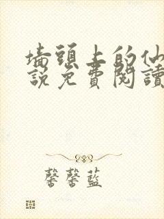 墙头上的仙人小说免费阅读