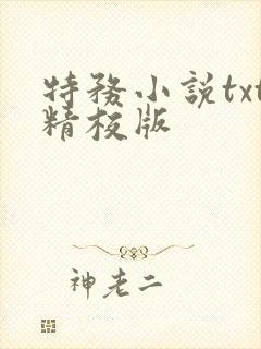 特务小说txt精校版封面