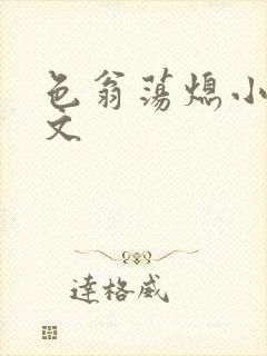 色翁荡熄小说全文