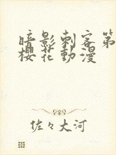 暗影刺客第4季樱花动漫