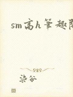 sm高h笔趣阁