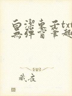 白洁东子txt无弹窗笔趣阁封面