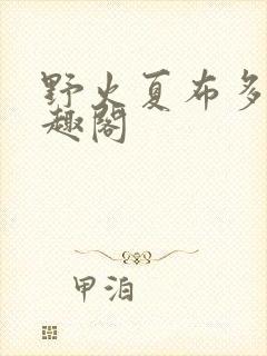 野火夏布多昂笔趣阁