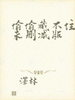 偷偷藏不住小说未删减版