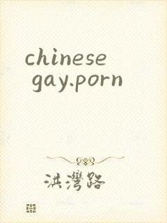 chinese gay.porn封面