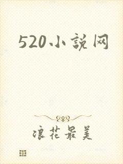 520小说网