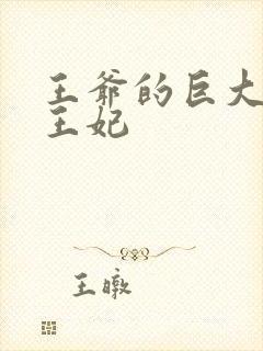 王爷的巨大进入王妃