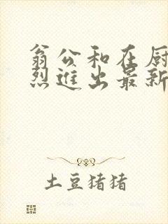 翁公和在厨房猛烈进出最新章节