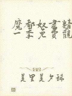 魔都奴隶精兵第一季免费观看封面