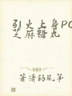 引火上身POP芝麻糖丸