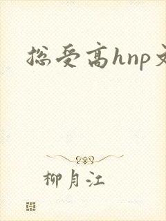 总受高hnp文封面