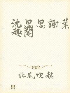 沈思思谢叶明笔趣阁