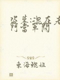 盗墓:混在老九门当军阀封面