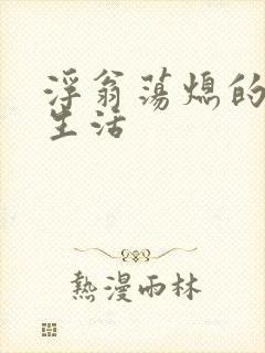 浮翁荡熄的幸福生活封面