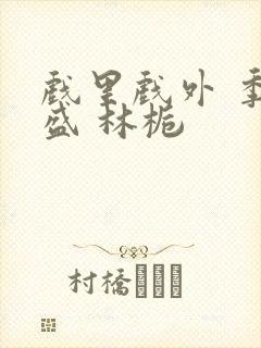 戏里戏外 季淮盛 林栀封面