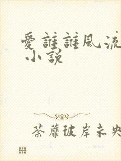 爱谁谁风流书呆 小说