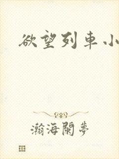 欲望列车小说封面