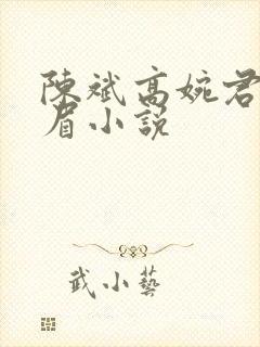 陈斌高婉君赵心眉小说