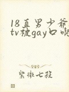 18直男少爷ktv被gay口吃视频