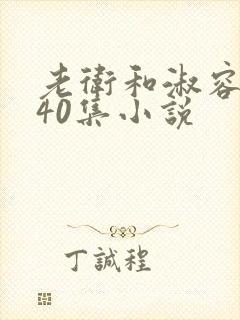 老卫和淑容1-40集小说封面