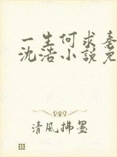 一生何求秦菲雪沈浩小说免费阅读全文