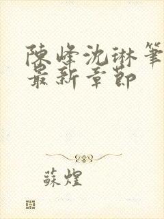 陈峰沈琳笔趣阁最新章节