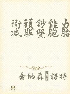 街头钞能力无删减版双胞胎