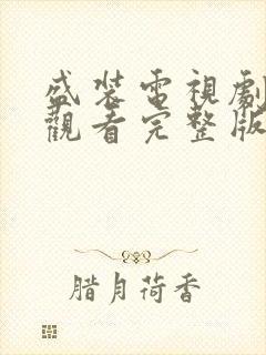 盛装电视剧免费观看完整版高清