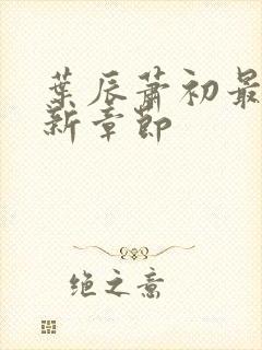 叶辰萧初最新更新章节封面