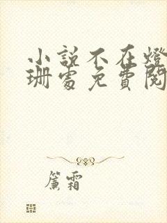 小说不在灯火阑珊处免费阅读