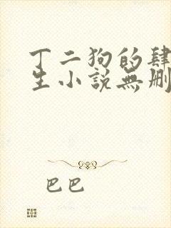 丁二狗的肆意人生小说无删减