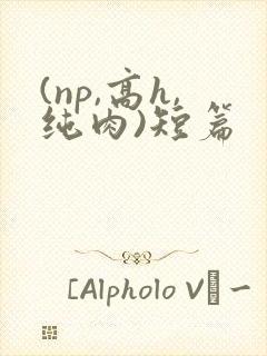 (np,高h,纯肉)短篇