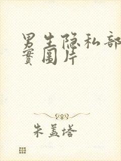 男生隐私部位真实图片