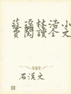 苏瑶林浩小说免费阅读全文最新章节