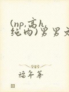 (np,高h,纯肉)男男文
