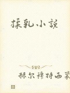 揉乳小说