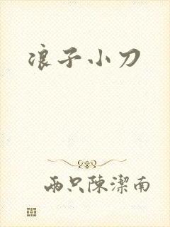 浪子小刀封面