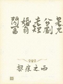 闪婚老公是亿万富翁短剧免费观看