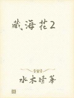 藏海花2封面
