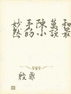 妙手陈万和唐嫣然的小说最新章节封面