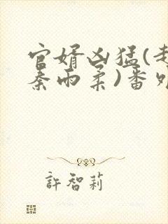 官婿凶猛(赵阳秦雨柔)番外+大结局小说