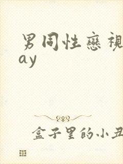 男同性恋视频gay封面