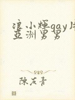 浪小辉gay片亚洲男男封面
