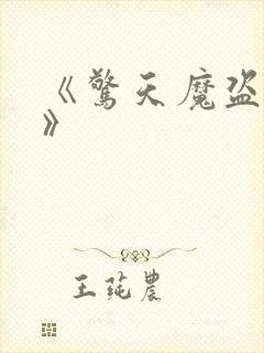 《惊天魔盗团2》封面