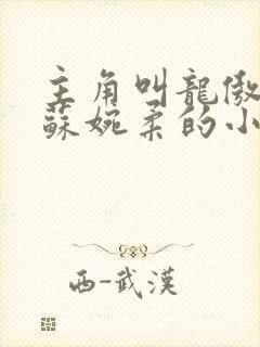 主角叫龙傲天,苏婉柔的小说