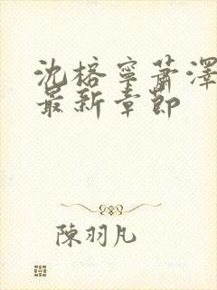 沈榕宁萧泽小说最新章节