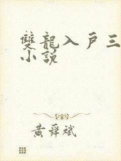 双龙入户三人行小说