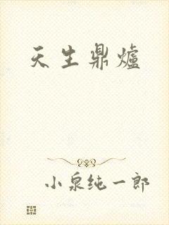 天生鼎炉封面